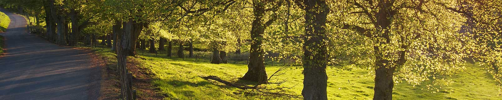 Solicitors Lanark - Hilland McNulty Website Header Image - Near Dunsyre